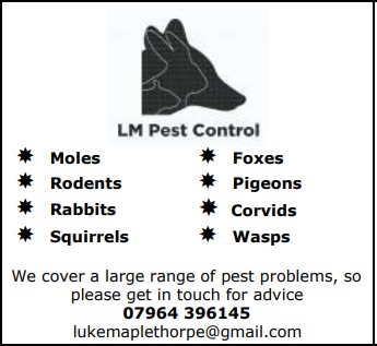LM Pest Control 2022